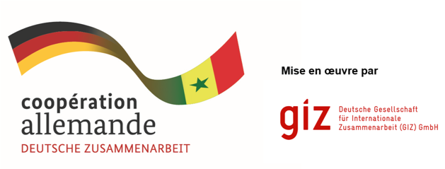 msnas partenariat cooperation allemande giz